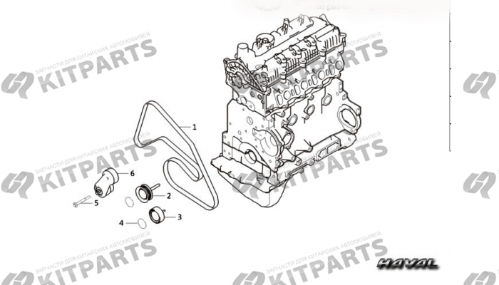 Ремень генератора Haval